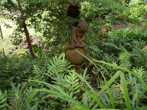 Hilltop - Darwin Holiday 15