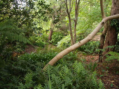 Hilltop - Darwin Holiday 17