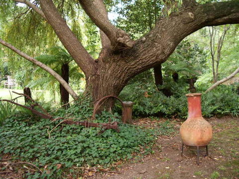 Hilltop - Darwin Holiday 18