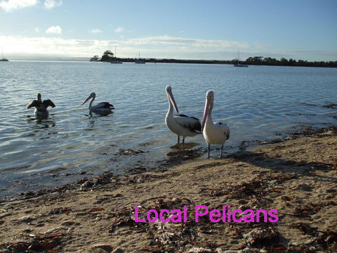Casuarina Coastal Units - Darwin Holiday 23