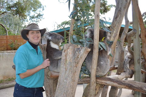 Lazy Days Cottage - Victor Harbor - Darwin Holiday 1