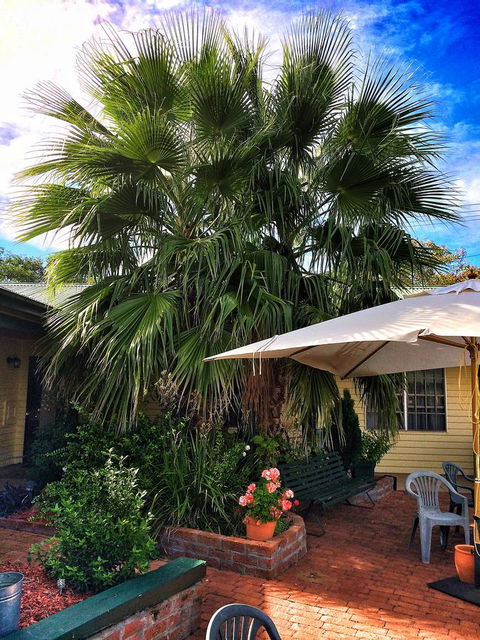 Ten Dollar Town Motel - Darwin Holiday 17