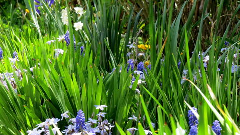 The Pig And Whistle - Darwin Holiday 23