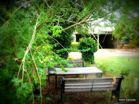 The Pig And Whistle - Darwin Holiday 16