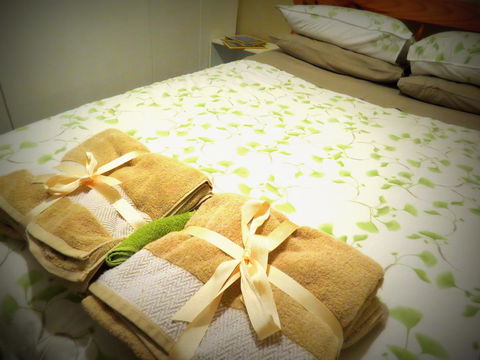 The Pig And Whistle - Darwin Holiday 3