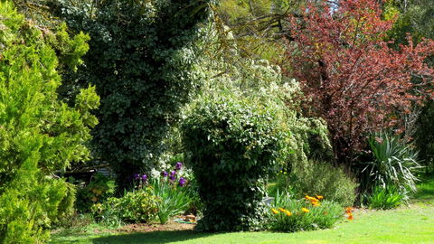 The Pig And Whistle - Darwin Holiday 19