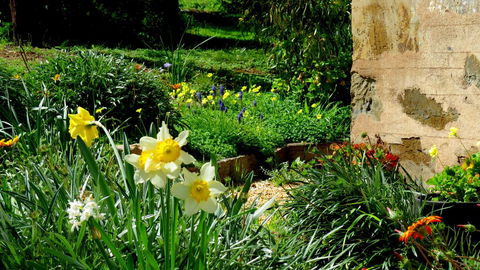 The Pig And Whistle - Darwin Holiday 20