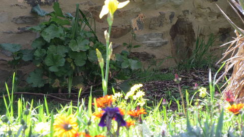 The Pig And Whistle - Darwin Holiday 17