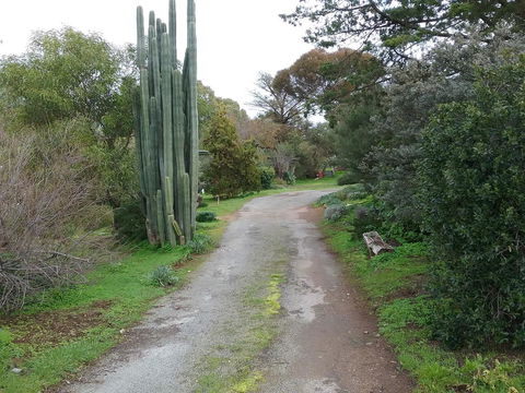 The Pig And Whistle - Darwin Holiday 37