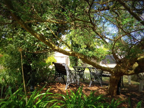 The Pig And Whistle - Darwin Holiday 4