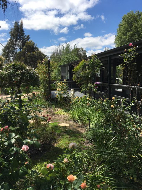 Hilltop Too - Darwin Holiday 4