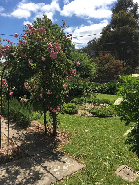 Hilltop Too - Darwin Holiday 13