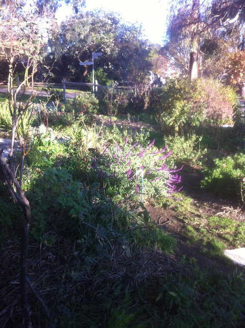 Hilltop Too - Darwin Holiday 12