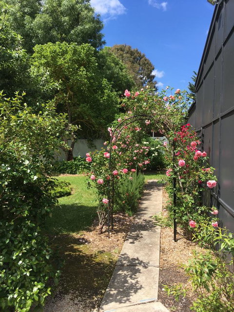 Hilltop Too - Darwin Holiday 5