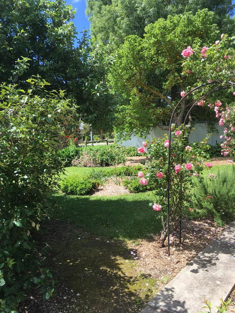 Hilltop Too - Darwin Holiday 6