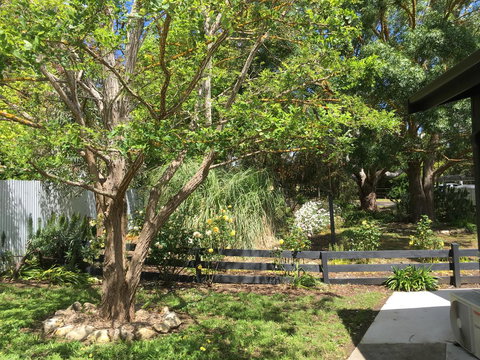 Hilltop Too - Darwin Holiday 7