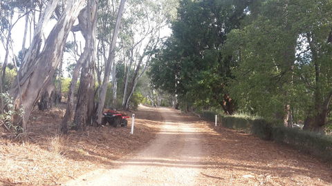 Taralee Orchards - Darwin Holiday 4