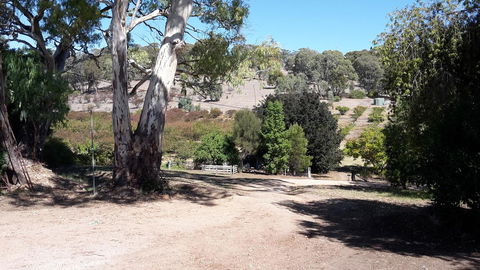 Taralee Orchards - Darwin Holiday 3