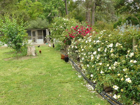 Camawald Coonawarra Cottage B&B - Darwin Holiday 3