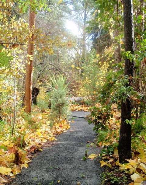 Aldgate Valley Bed And Breakfast - Darwin Holiday 43