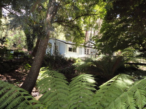 Aldgate Valley Bed And Breakfast - Darwin Holiday 30