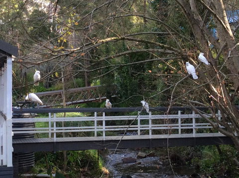 Aldgate Valley Bed And Breakfast - Darwin Holiday 41