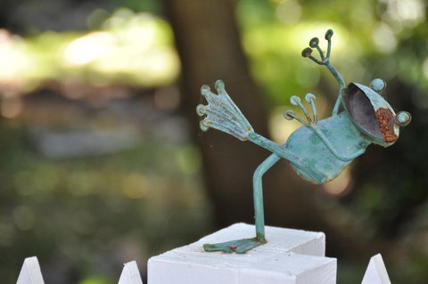 Aldgate Valley Bed And Breakfast - Darwin Holiday 38