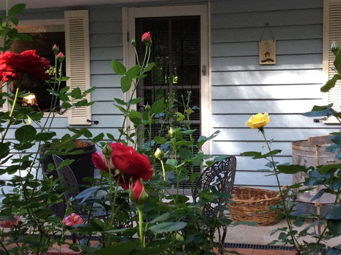 Aldgate Valley Bed And Breakfast - Darwin Holiday 31