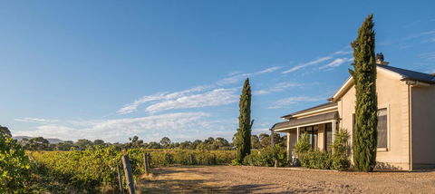 Barossa Shiraz Estate - Darwin Holiday 13