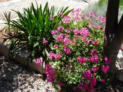 Country Bakehouse Accommodation - Darwin Holiday 18