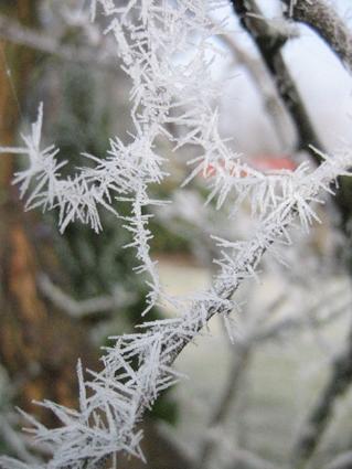 Vineyard Cottage BnB - Darwin Holiday 16