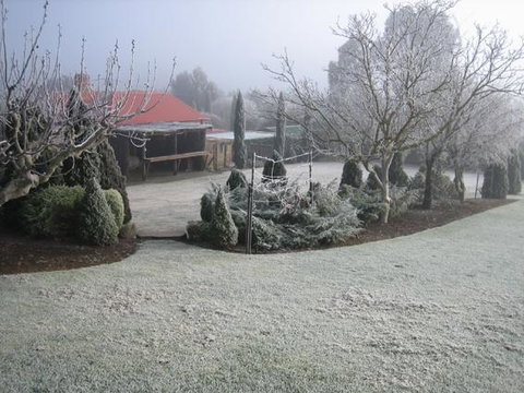 Vineyard Cottage BnB - Darwin Holiday 15