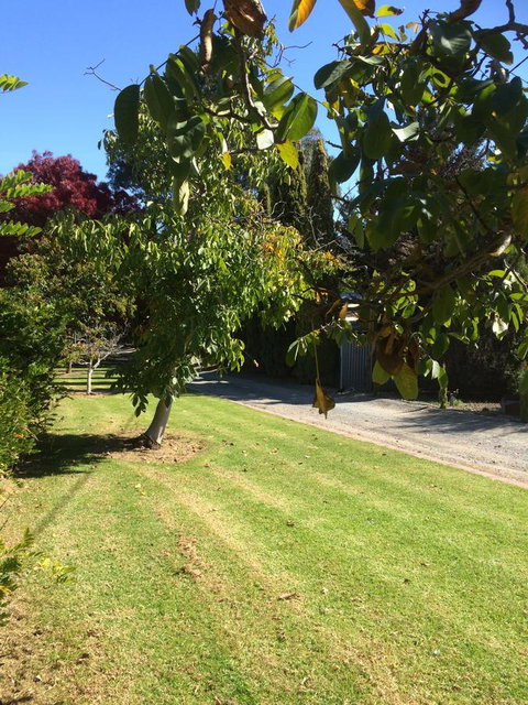 Vineyard Cottage BnB - Darwin Holiday 17