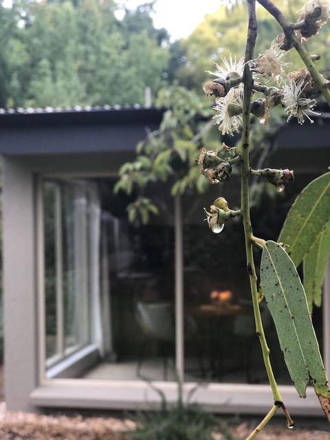 Adelaide Hills Retreats - Darwin Holiday 9