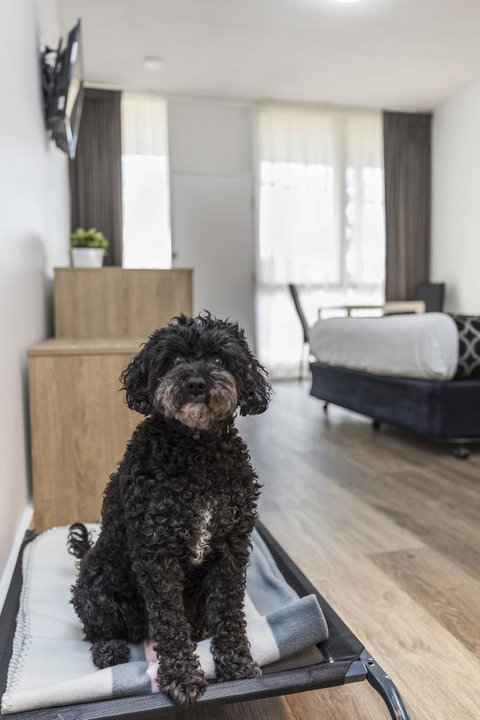 Adelaide Road Motor Lodge - Darwin Holiday 2