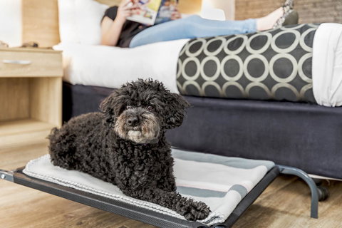 Adelaide Road Motor Lodge - Darwin Holiday 5