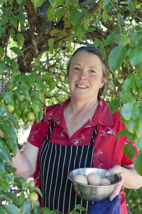 The Fruiterer's - Darwin Holiday 6