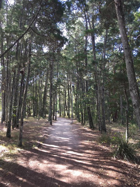 Brunswick Heads Treetop Studio - Darwin Holiday 8