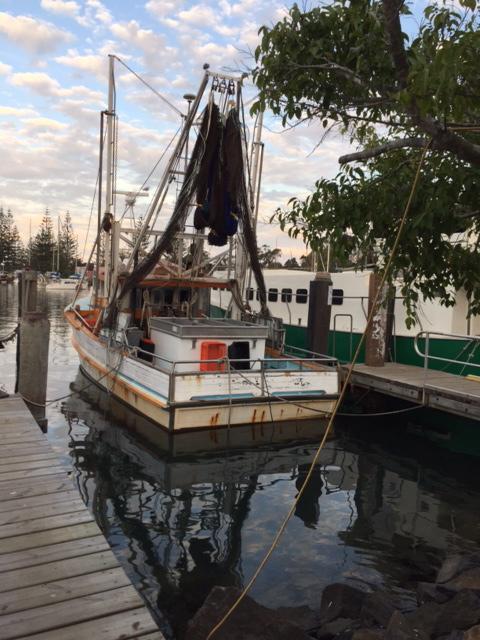 Brunswick Heads Treetop Studio - Darwin Holiday 25