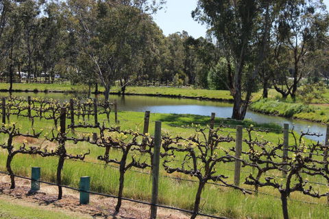 OXENBERRY FARM - Darwin Holiday 19
