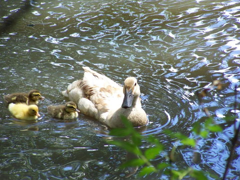 Burra Motor Inn - Darwin Holiday 27