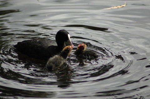 Burra Motor Inn - Darwin Holiday 26
