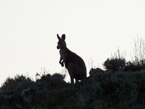 Burra Motor Inn - Darwin Holiday 37