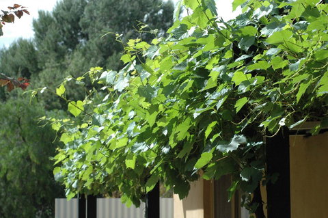 Burra Motor Inn - Darwin Holiday 15