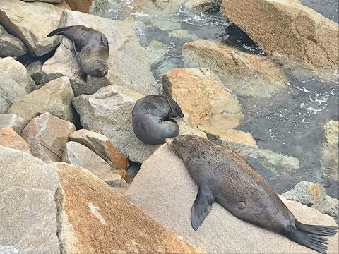 Penthouse On The Promenade - Darwin Holiday 17