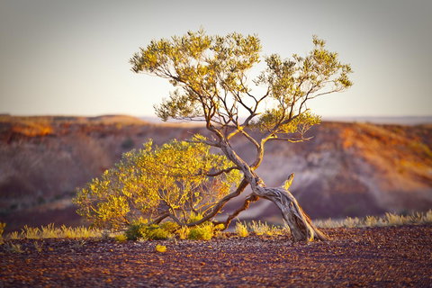The Lookout Cave Underground Motel - Darwin Holiday 22