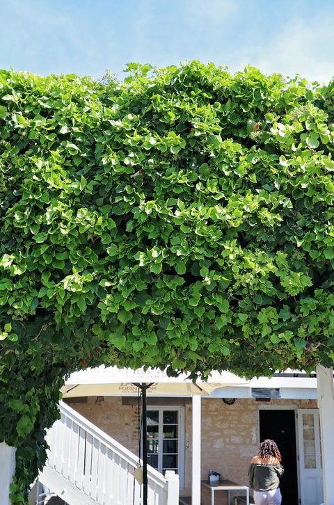 Caledonian Inn - Darwin Holiday 21