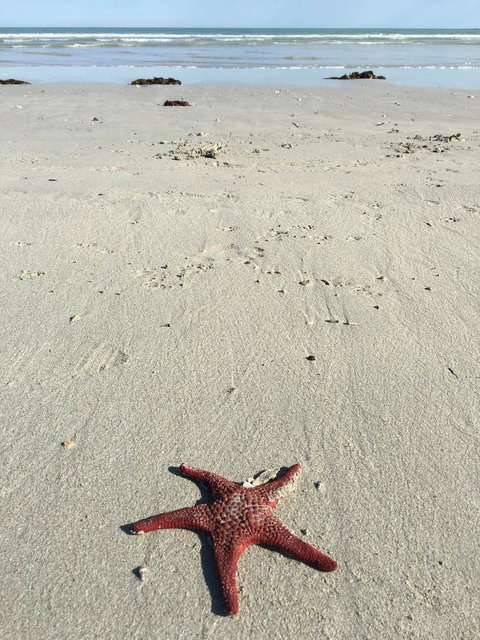 Caledonian Inn - Darwin Holiday 14