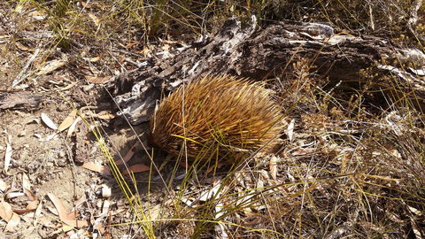 Rosie\'s - Darwin Holiday 12