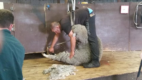 Rosie\'s - Darwin Holiday 22